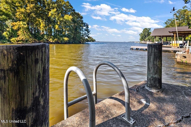 dock area with a water view