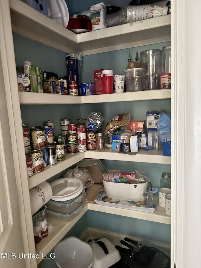 856 Wellington Way, Madison, MS 39110 - view of pantry