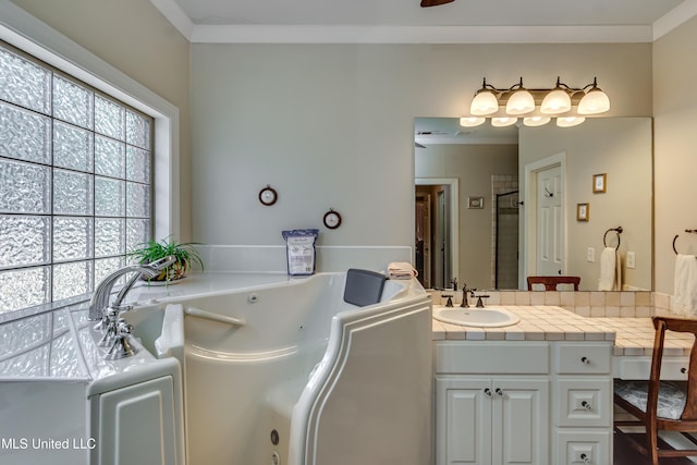 856 Wellington Way, Madison, MS 39110 - bathroom featuring a jetted tub, vanity, and a shower stall