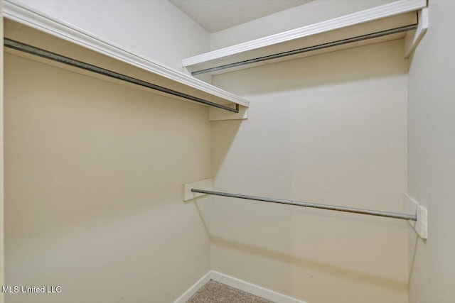 4328 Blaine Cir, Byram, MS 39272 - spacious closet with carpet flooring