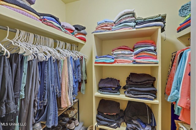 view of spacious closet