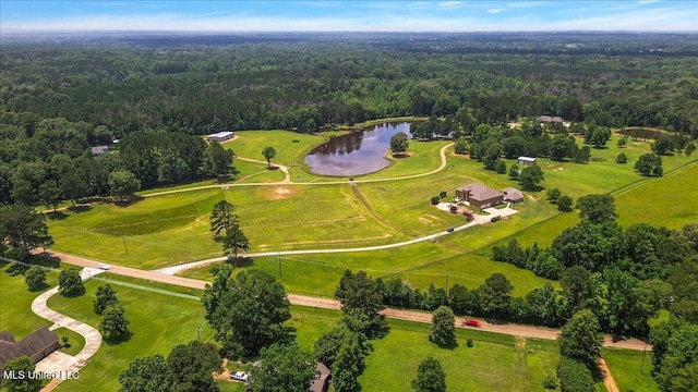 12025 Springridge Rd, Terry, MS 39170 - drone / aerial view of a forest and a large body of water