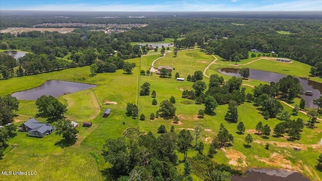 12025 Springridge Rd, Terry, MS 39170 - aerial view of a large body of water and a heavily wooded area