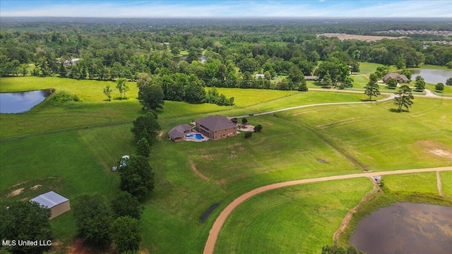 12025 Springridge Rd, Terry, MS 39170 - bird's eye view of a large body of water and a forest