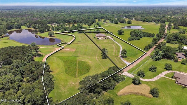 12025 Springridge Rd, Terry, MS 39170 - bird's eye view of a large body of water and a forest
