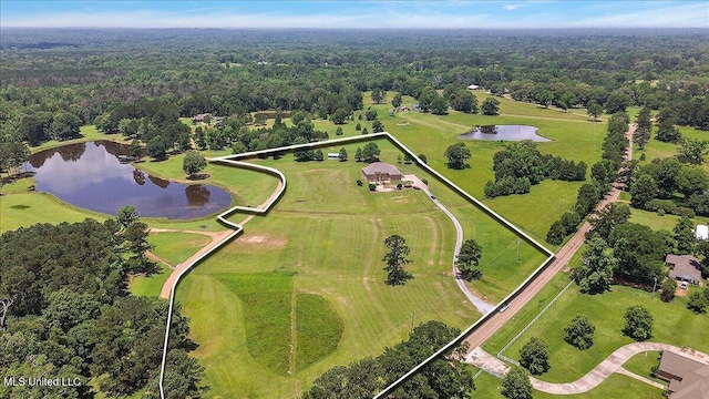 12025 Springridge Rd, Terry, MS 39170 - drone / aerial view of a large body of water