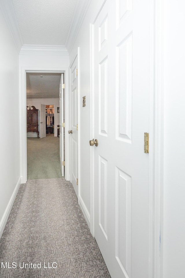 10001 Echo Glen Dr, Moss Point, MS 39562 - hallway with carpet flooring and crown molding