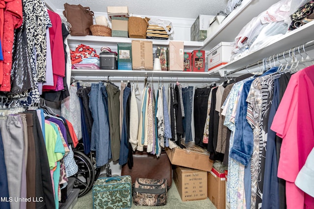 10001 Echo Glen Dr, Moss Point, MS 39562 - walk in closet with carpet