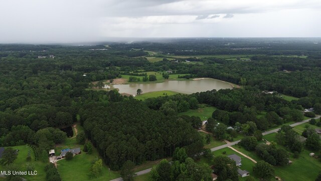 00 Hebron Hill Dr, Brandon, MS 39042