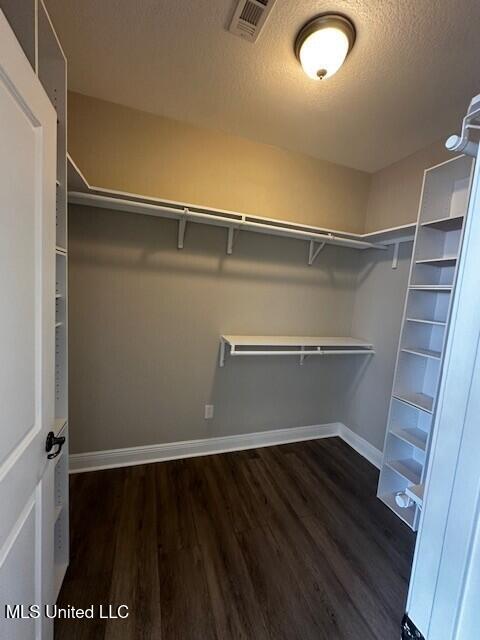 walk in closet featuring visible vents and wood finished floors