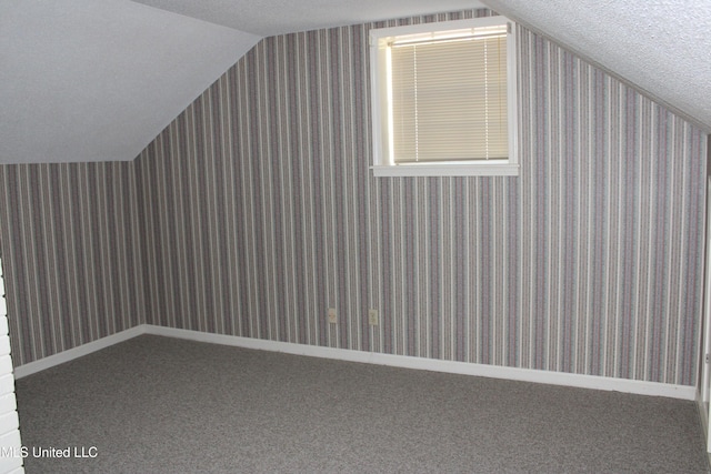 additional living space featuring lofted ceiling, carpet floors, and a textured ceiling