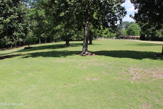 view of yard