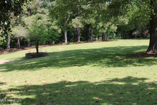 view of yard