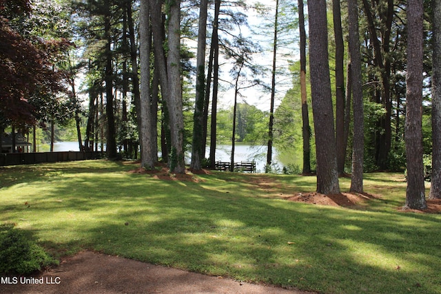 view of yard with a water view