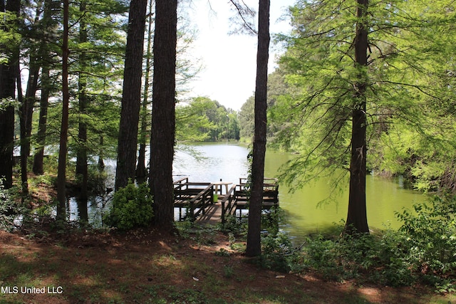 view of water feature with a boat dock and a wooded view