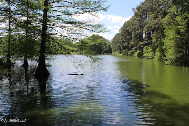 water view with a forest view