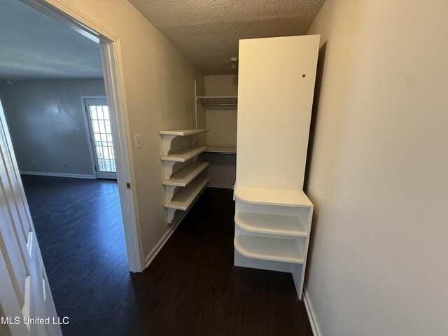 walk in closet with dark hardwood / wood-style flooring