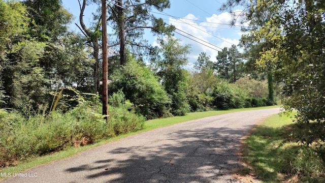 Listing photo 2 for Covered Bridge Rd, Carriere MS 39426