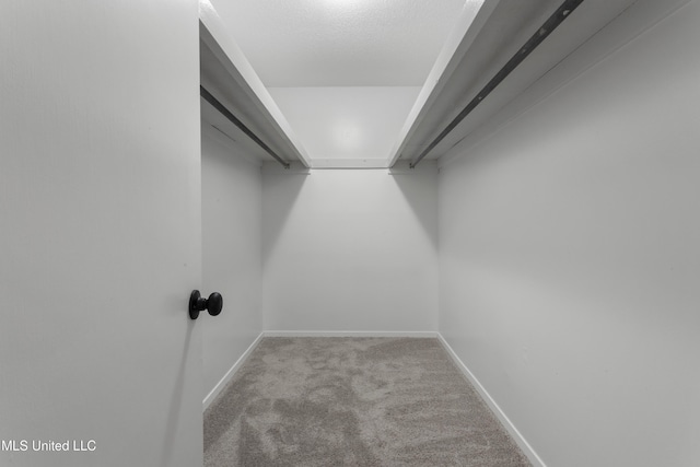 449 Klondyke Rd, Long Beach, MS 39560 - spacious closet featuring carpet