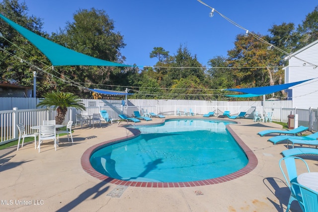 view of swimming pool featuring a patio