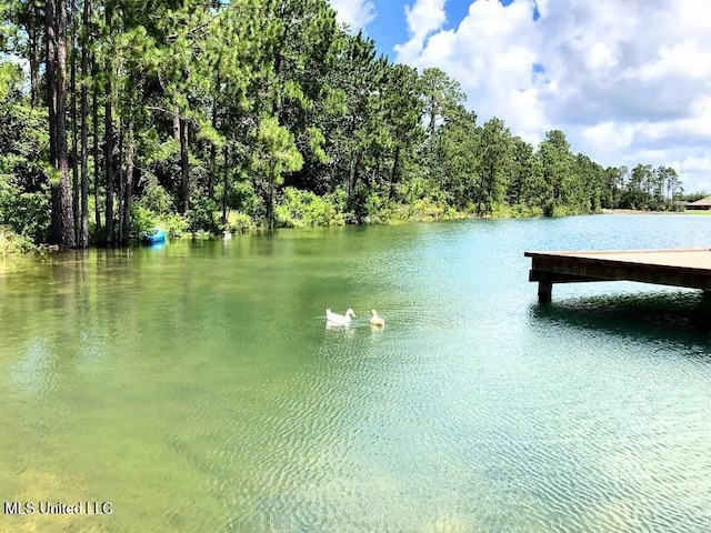 view of dock featuring a water view