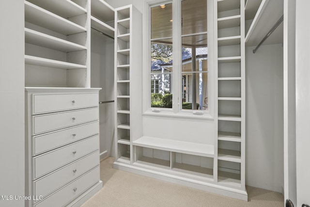 spacious closet featuring light carpet