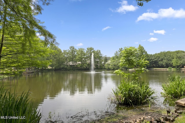 property view of water