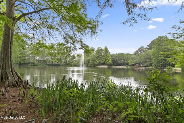 view of water feature