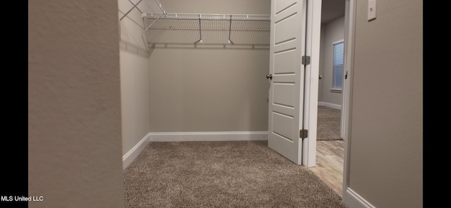 walk in closet featuring light colored carpet