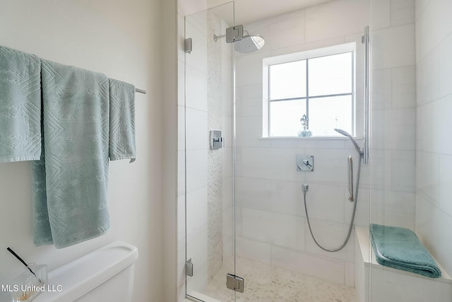 bathroom with toilet and a shower stall