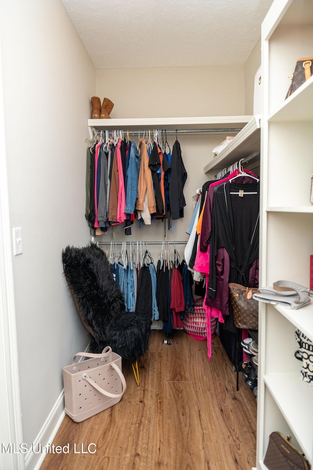 105 Bridgeton Way, Canton, MS 39046 - walk in closet with wood finished floors