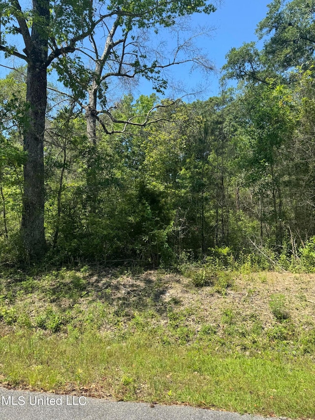 Juanita St, Ocean Springs MS, 39564 land for sale