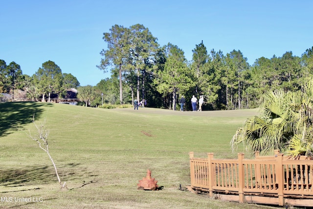 view of community with a yard