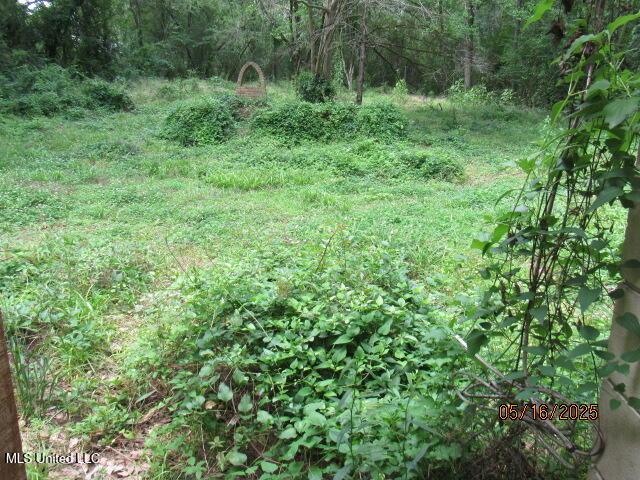 1104 Mccluer Rd, Jackson, MS 39212 - view of tree filled area