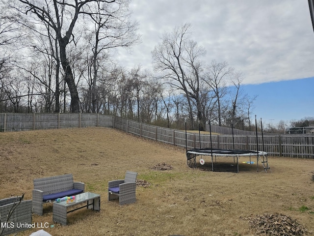 view of yard with a trampoline and a fenced backyard