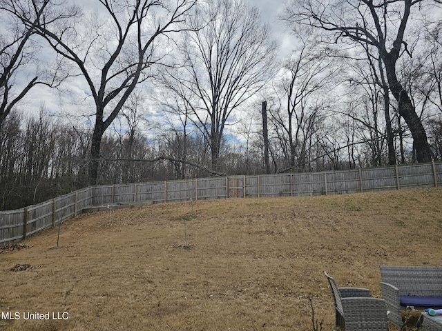 view of yard featuring a fenced backyard