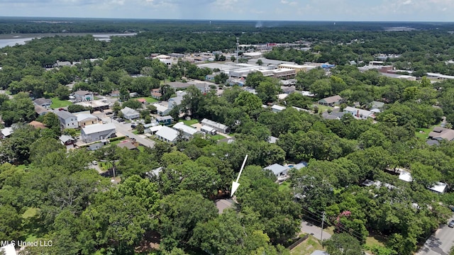 bird's eye view