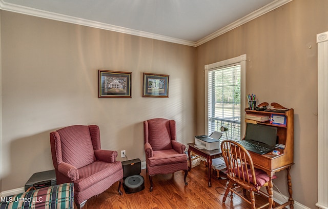 office area featuring wood-type flooring and crown molding