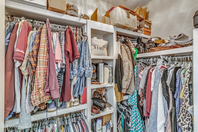 view of walk in closet