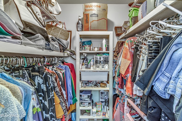 view of spacious closet