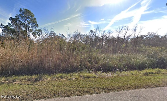 01 Riverside Dr, Pearlington, MS 39572