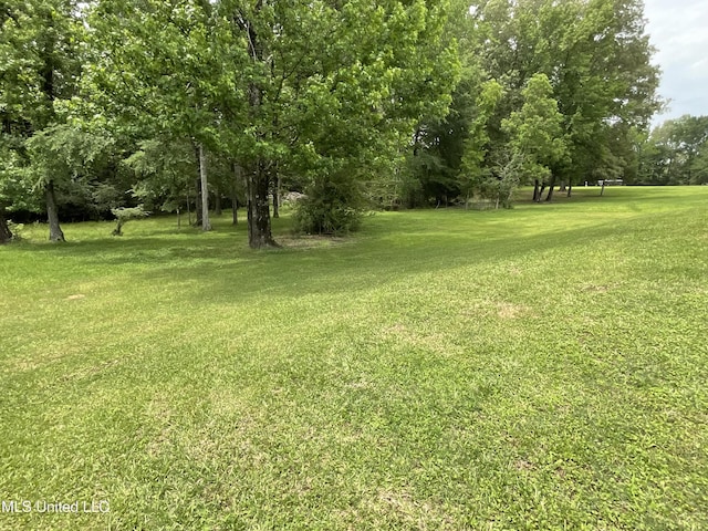 view of grassy yard