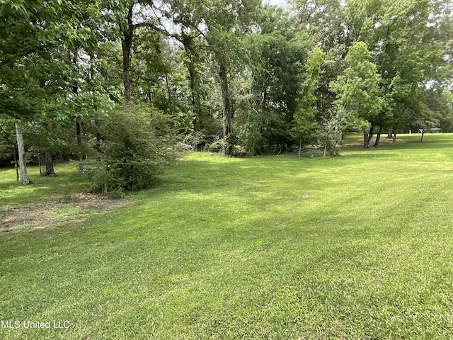 view of green lawn