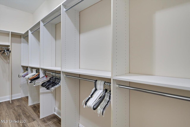 walk in closet with hardwood / wood-style floors