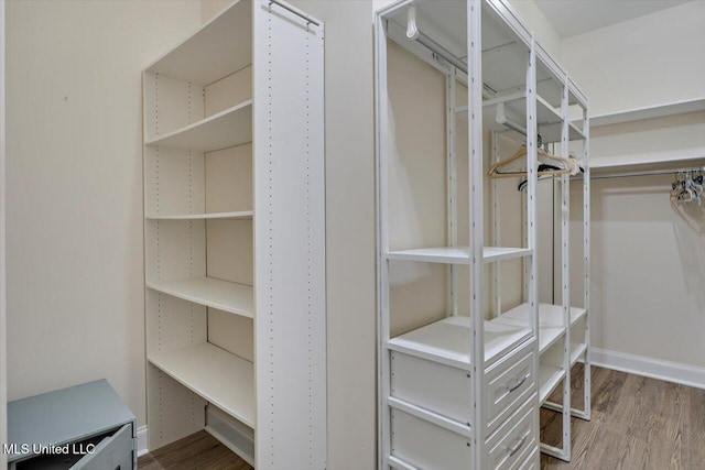 spacious closet featuring wood-type flooring