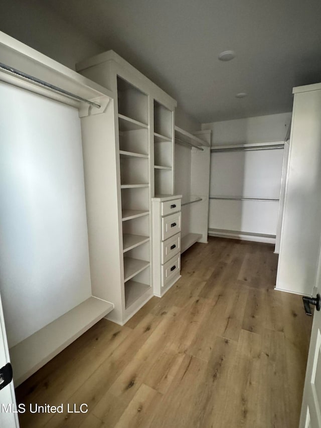 spacious closet with light hardwood / wood-style flooring