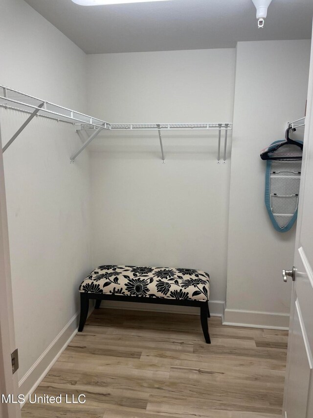 walk in closet with light wood-type flooring