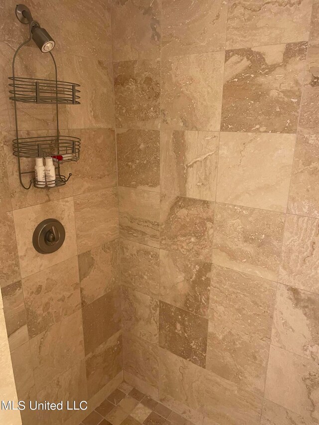 interior details with tiled shower