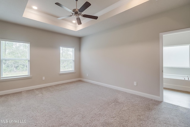 spare room featuring ceiling fan, crown molding, a raised ceiling, and carpet floors