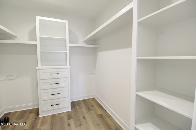 spacious closet featuring light wood-style floors